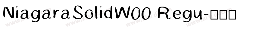 NiagaraSolidW00 Regu字体转换